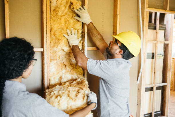 Best Insulation Replacement Services  in Continental, OH